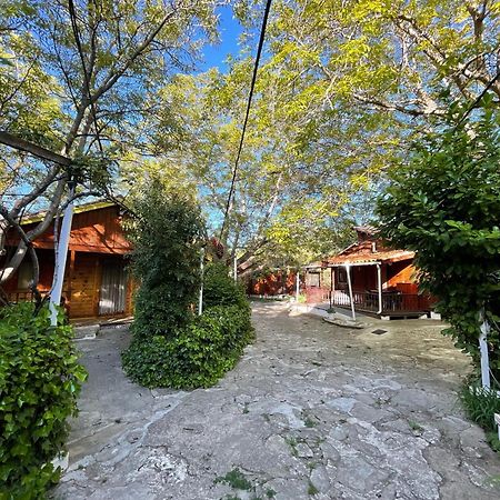 Cabanas De Nerpio Esterno foto